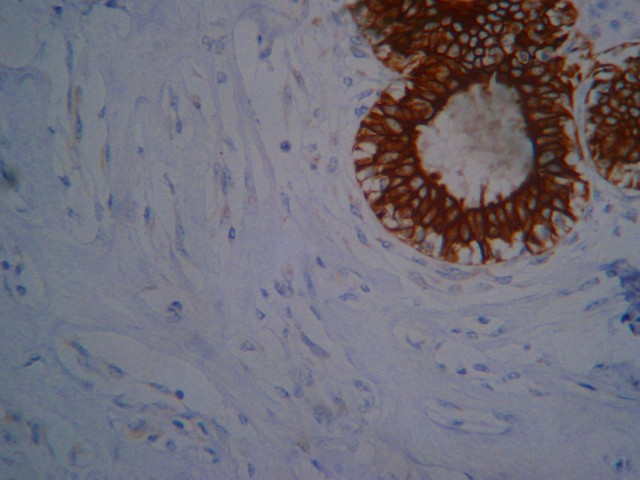 Fig. 8 - <div style=